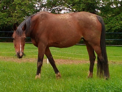 Grass moustache!