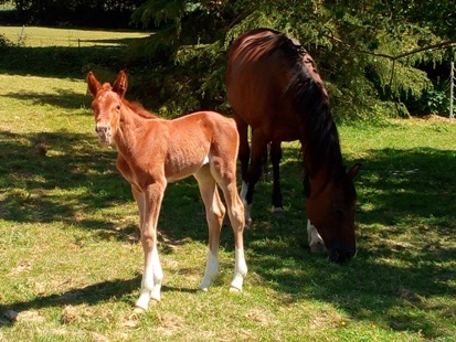 I'm 2 days old and this sunshine feels great